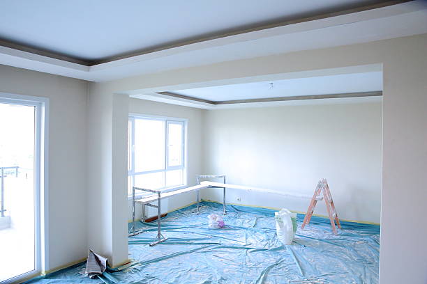 Best Ceiling Drywall Installation  in Maroa, IL